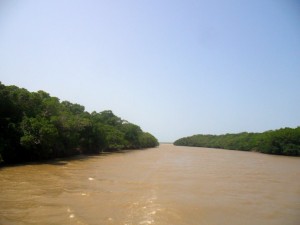 escursione in battello sul Delta del Parnaiba