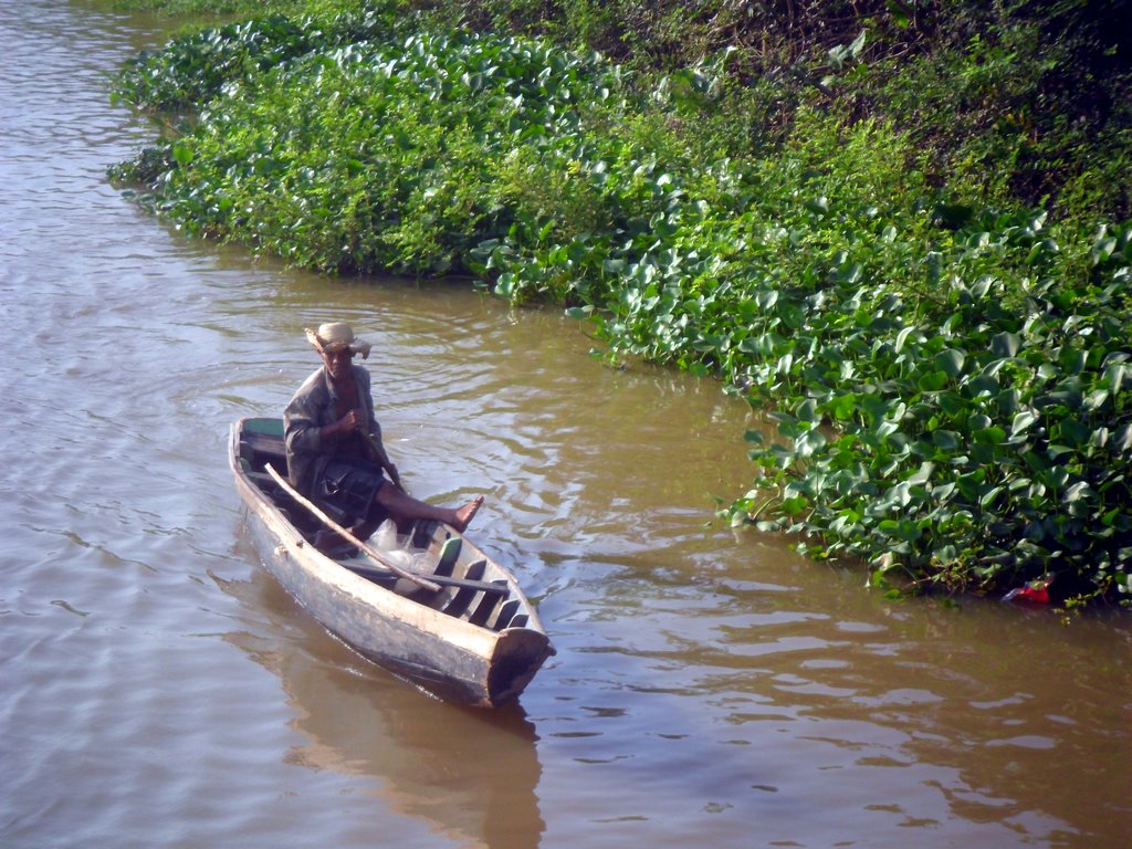pescatore di granchi nel Delta del Parnaiba Brasile