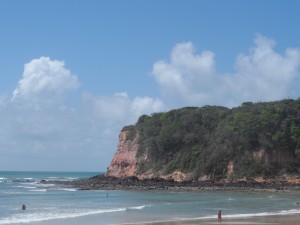 la spiaggia con i delfini di Pipa in Brasile