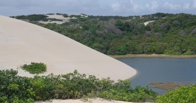 dune natal brasile
