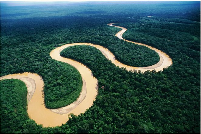 l'Amazzonia vista dall'alto