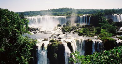 tour Brasile cacate Iguazu
