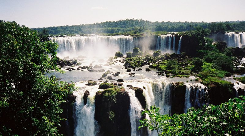 tour Brasile cacate Iguazu