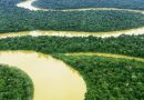 viaggio Amazzonia offerte