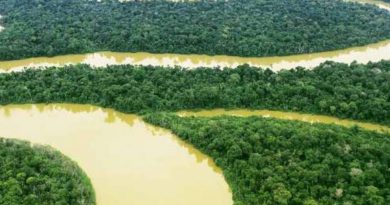 viaggio Amazzonia offerte