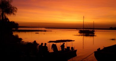 Brasile Pantanal come e dove